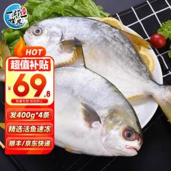 一虾一世界 国产新鲜冷冻无冰衣白鲳鱼/金鲳鱼 清蒸香煎烧烤食材 新鲜捕捞 大号金鲳鱼400g-500g*4条