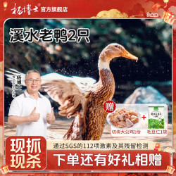 杨博士 皖南散养老河鸭 2斤*2只