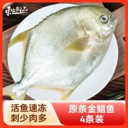 东上御品 鲳鱼 金鲳鱼特大鲳鱼银鲳鱼海鱼白鲳整条 生鲜鱼类 海鲜 400-500克×4条