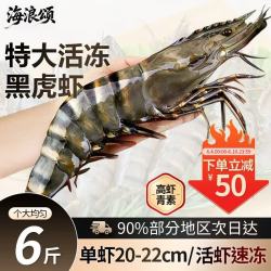 海浪颂 黑虎虾新鲜冷冻巨型斑节虾老虎虾明虾对虾基围虾大虾海鲜水产礼盒 巨型黑虎虾 6斤(净重)  （5-8只/斤）