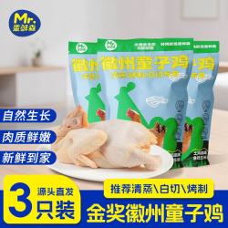 蛋鲜森 徽州无抗童子鸡3只装生鲜禽类750-850g/只真空净膛源头直发 无抗童子鸡800g 3只装
