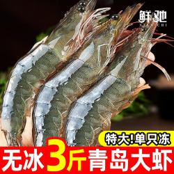 鲜驰 虾 国产青岛大虾 青虾白虾海虾基围虾冷冻生鲜 虾类 海鲜水产 气冻大虾 3斤(净重)  30/40规格 15-18cm