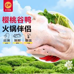 正大食品 净膛 樱桃谷鸭  樱桃谷鸭 2.2kg 4.4斤（1只）
