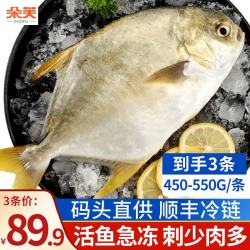 朵芙 青岛金鲳鱼 新鲜海捕 平鱼鲳鱼生鲜鱼类金昌鱼海鲜水产 码头直供金鲳鱼