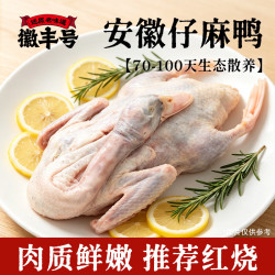 徽丰号 生态散养土鸭子 2斤/只 2只装 生鲜鸭肉