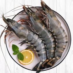 蝶岛船说 新鲜黑虎虾 基围虾大虾  500g