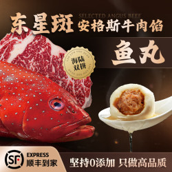 老罗家 东星斑安格斯牛肉鱼丸 1斤 火锅丸子