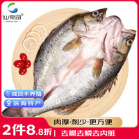 仙泉湖 三去白蕉海鲈/海鲈鱼