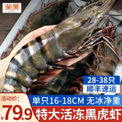 朵芙 海捕黑虎虾 16-17cm 1000g