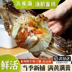 三蟹岛 鲜活梭子蟹特大母蟹野生大螃蟹生鲜海鲜海蟹飞蟹母梭子蟹烟台海鲜  3-4两/只满黄满膏母蟹