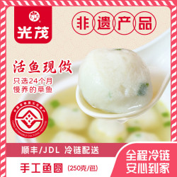 光茂 手工鱼圆鱼丸鱼丸火锅丸子关东煮麻辣烫食材半成品预制菜 手工鱼圆3包