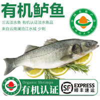 太湖海 婴儿童食辅 鲜活三去鱼类水产 鲈鱼 200g*6条