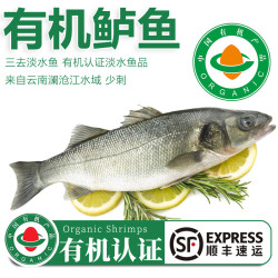 太湖海 婴儿童食辅 鲜活三去鱼类水产 鲈鱼 200g*6条