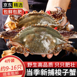 朵芙 青岛梭子蟹鲜活速冻特大野生大螃蟹新鲜速冻海鲜水产海蟹飞蟹蟹类 家庭装梭子蟹4斤