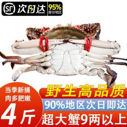 优牧冠 梭子蟹 舟山野生大螃蟹海蟹飞蟹新鲜冷冻海鲜水产 舟山梭子蟹 净重 4斤