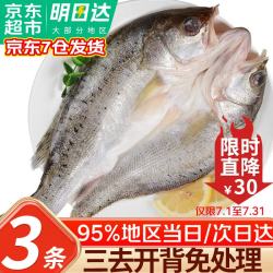 优牧冠 新鲜冷冻海鲈鱼/河鲈鱼 红鼓鱼随机 去鳞去鳃去内脏 三去免处理 （净重）500-600g*3条装