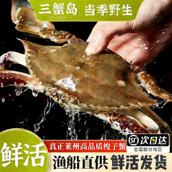 三蟹岛 莱州梭子蟹鲜活螃蟹母蟹公蟹飞蟹海鲜生鲜带膏梭子蟹 梭子蟹公蟹 2斤共4-5只
