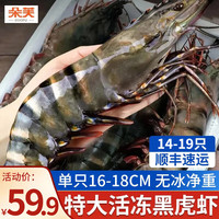 朵芙 超大黑虎虾大号 草虾 鲜活生冻特大黑虎虾老虎虾海虾礼盒生鲜虾类 海捕黑虎虾 400g(净重)  16-17cm