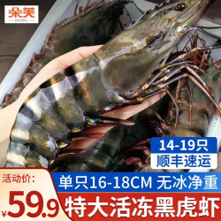 朵芙 超大黑虎虾大号 草虾 鲜活生冻特大黑虎虾老虎虾海虾礼盒生鲜虾类 海捕黑虎虾 400g(净重)  16-17cm