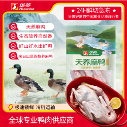 华英 天养麻鸭 鸭肉 950g