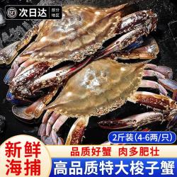 百库 BAIKU 百库 国产特大梭子蟹 2斤 4-6只