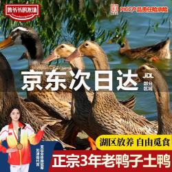 鲁爷爷的农场 LU爷爷的农场 国产整鸭 4.5-5斤