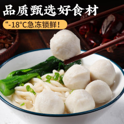 潮味码头 正宗鱼丸肉丸小鱼丸福鱼丸鲜鱼丸火锅麻辣烫关东煮串串冷冻鱼丸 手工鱼丸500g*1