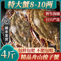辰鲜派 梭子蟹鲜活冷冻舟山梭子蟹特大螃蟹梭子蟹野生海鲜水产白蟹速冻 3-5两/只