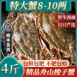 辰鲜派 梭子蟹鲜活冷冻舟山梭子蟹特大螃蟹梭子蟹野生海鲜水产白蟹速冻 3-5两/只