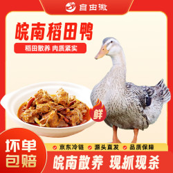 自由徽 皖南稻田鸭 2斤/只 整鸭