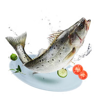 鸿顺 三去海鲈鱼500g*3条 去麟去腮去内脏 国产 生鲜鱼类 源头直发
