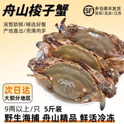 尝鲜生 舟山梭子蟹 9两以上/只 5斤