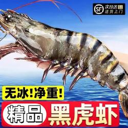 奉希 超大鲜活冷冻黑虎虾 海鲜水产斑节对虾 草虾 顺丰新鲜到家 黑虎虾（一盒8只）发两盒 1000g(净重)