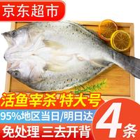 往牧 三去开背海鲈鱼/河鲈鱼 鲜活冷冻 去鳃去鳞 生鲜鱼类 海鲜水产 600g-500g*5条