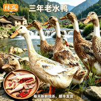 林岚 3年老鸭麻鸭净重约2斤/只林间散养老鸭子土鸭整鸭新鲜食材