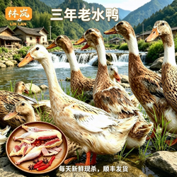 林岚 3年老鸭麻鸭净重约2斤/只林间散养老鸭子土鸭整鸭新鲜食材