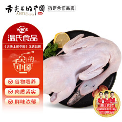 温氏 农养麻鸭1.2kg 农家生态散养鸭子整鸭净膛生鲜鸭肉煲鸭汤 农养麻鸭1.2kg