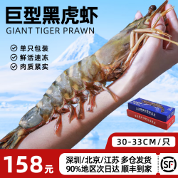 尝鲜生 超大黑虎虾 300g