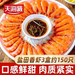 天海藏 盐田香虾净重450g*3 熟冻盐田大虾鲜甜饱满肉质紧实 源头直发  盐田香虾 1.35kg(净重)