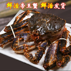 三蟹岛 鲜活帝王蟹 阿拉斯加帝王蟹 活皇帝蟹 螃蟹 蟹类 鲜活帝王蟹 4-4.5斤（顺丰）