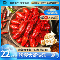 国联 小霸龙麻辣小龙虾2025新虾速食加热即食小龙虾整虾鲜活大号宵夜追剧 750g 蒜蓉 小龙虾*3盒-加热即食