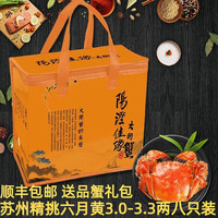 阳澄佳缘大闸蟹 现货鲜活大螃蟹公母蟹 海鲜水产生鲜礼盒 六月黄3.0-3.3两 八只礼盒装
