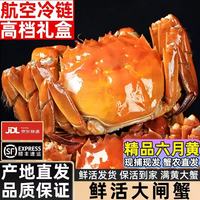 阳澄圣宣大闸蟹 特大鲜活大螃蟹公母蟹 水产生鲜海鲜礼盒 精品六月黄3.0-3.3两 八只礼盒装