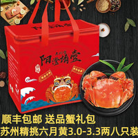 阳澄靖壹 大闸蟹 鲜活大螃蟹公母蟹 海鲜水产生鲜礼盒 精选全母3.6-3.9两8只礼盒装 大闸蟹