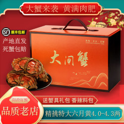 阳澄小斌 大闸蟹 鲜活精挑特大螃蟹公蟹母蟹生鲜水产礼盒 公蟹4.8-5.1母蟹3.8-4.1两 十只
