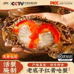 昌鲜园 宁波特产舟山梭子蟹 红膏呛蟹 4只 单只净重4-6两