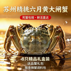 阳澄易顺 大闸蟹 鲜活特大螃蟹 海鲜水产生鲜礼盒 公5.0-5.3两母4.0-4.3两8只4对