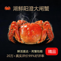 湖鲜阳澄 大闸蟹 去绳足重 全母2.0-2.3两 8只 鲜活螃蟹礼盒装中秋