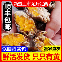 乾蟹汇 网兜蟹六月黄鲜活小螃蟹净重足重淡水大闸蟹公母河蟹 三元蟹[0.6-0.8两]20只+2只备损