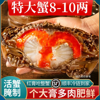 鲜喜利 舟山红膏呛蟹整只酱母蟹宁波炝蟹梭子蟹咸蟹生腌螃蟹海鲜醉蟹即食 款